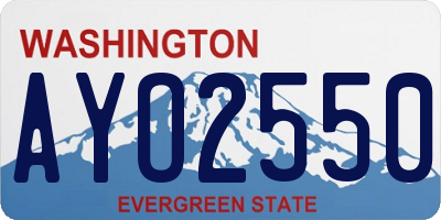 WA license plate AYO2550