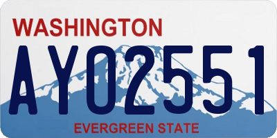 WA license plate AYO2551