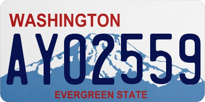 WA license plate AYO2559