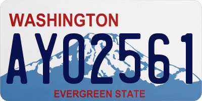 WA license plate AYO2561
