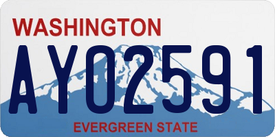 WA license plate AYO2591