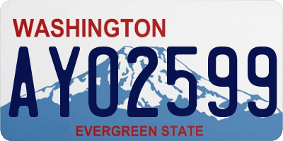 WA license plate AYO2599