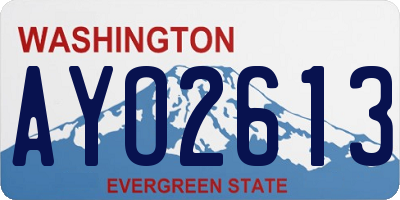 WA license plate AYO2613