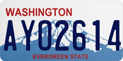 WA license plate AYO2614