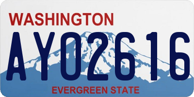 WA license plate AYO2616