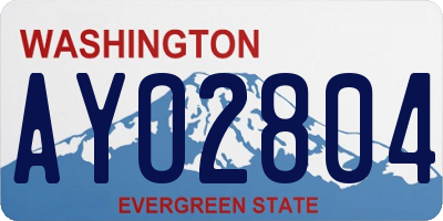 WA license plate AYO2804