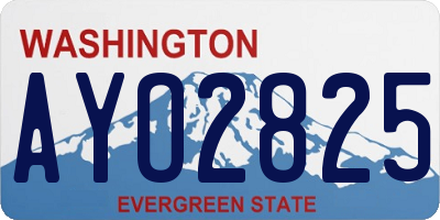 WA license plate AYO2825