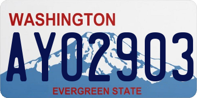 WA license plate AYO2903