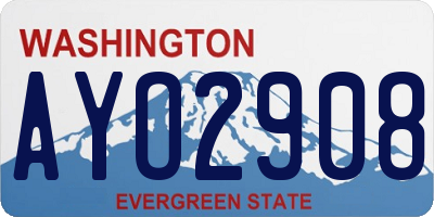 WA license plate AYO2908