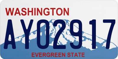 WA license plate AYO2917