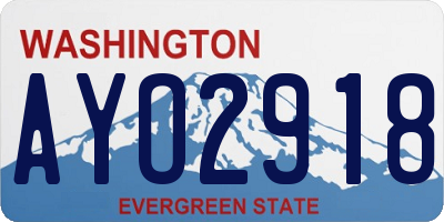 WA license plate AYO2918