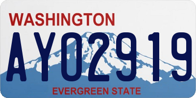 WA license plate AYO2919