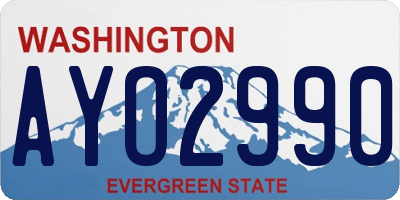 WA license plate AYO2990