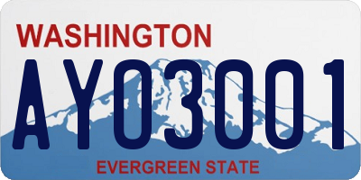 WA license plate AYO3001