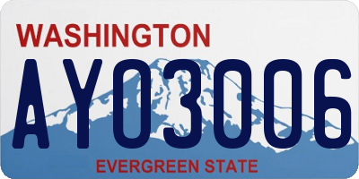 WA license plate AYO3006