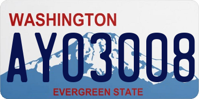 WA license plate AYO3008