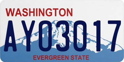 WA license plate AYO3017