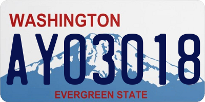WA license plate AYO3018