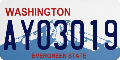 WA license plate AYO3019