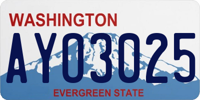WA license plate AYO3025