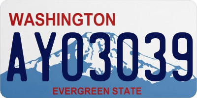 WA license plate AYO3039