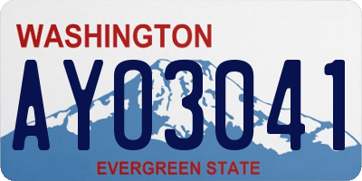 WA license plate AYO3041