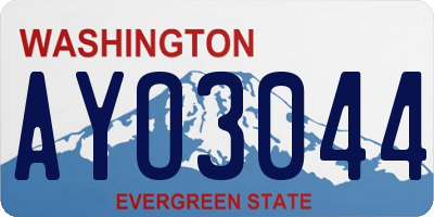 WA license plate AYO3044