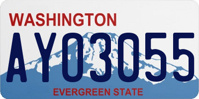 WA license plate AYO3055
