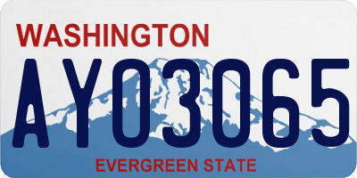 WA license plate AYO3065