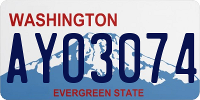 WA license plate AYO3074