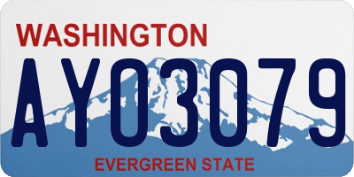 WA license plate AYO3079