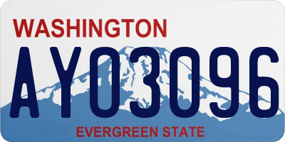 WA license plate AYO3096
