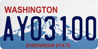 WA license plate AYO3100