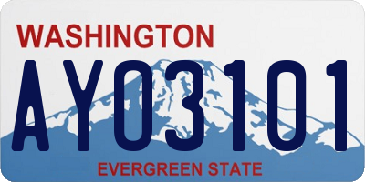 WA license plate AYO3101