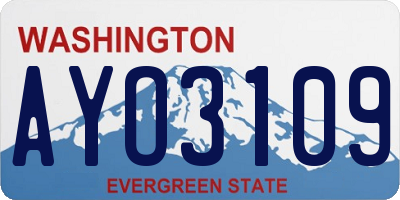 WA license plate AYO3109