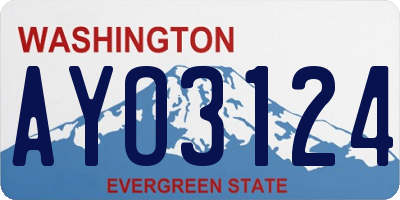 WA license plate AYO3124