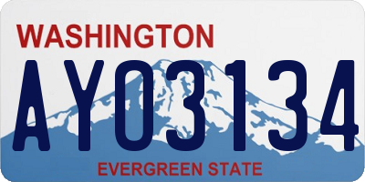 WA license plate AYO3134