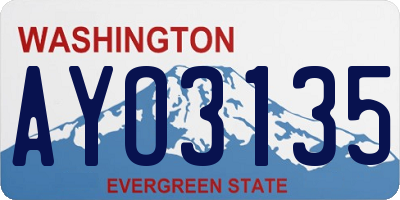 WA license plate AYO3135