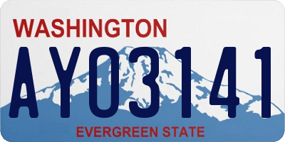 WA license plate AYO3141