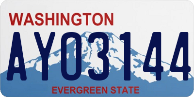 WA license plate AYO3144