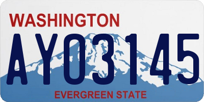 WA license plate AYO3145