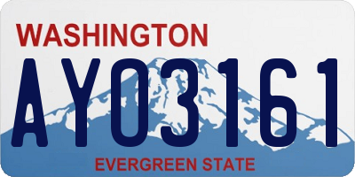 WA license plate AYO3161