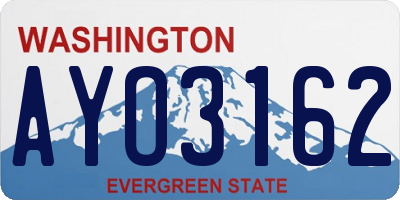 WA license plate AYO3162