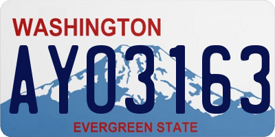 WA license plate AYO3163