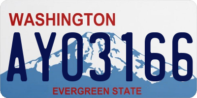 WA license plate AYO3166