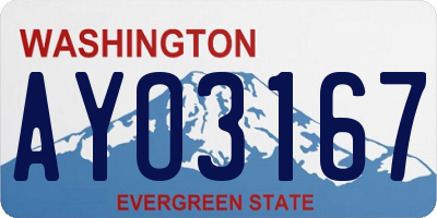 WA license plate AYO3167
