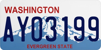 WA license plate AYO3199