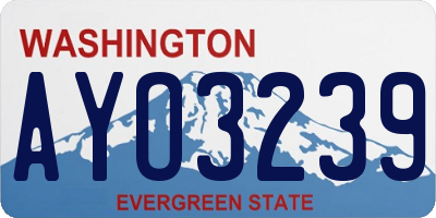 WA license plate AYO3239