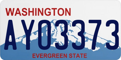 WA license plate AYO3373