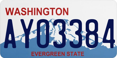 WA license plate AYO3384